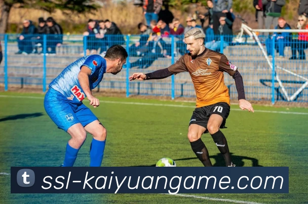 开元棋牌网址发展历程